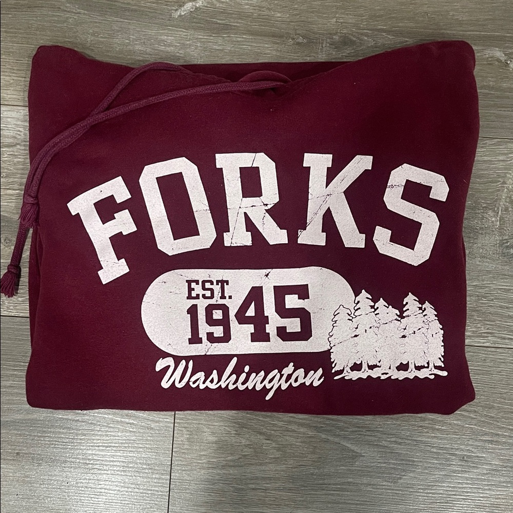 Maroon Forks Washington Hoodie